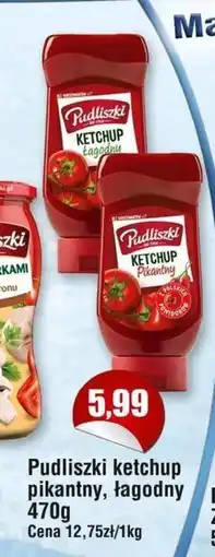 Społem Pudliszki Ketchup pikantny 480 g oferta