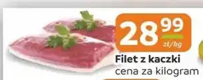 Społem Filet z kaczki oferta