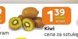 Społem Kiwi oferta