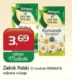 Malinka Market Herbapol Zielnik Polski Herbatka ziołowa rumianek 30 g (20 x 1,5 g) oferta