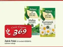 Cezar Delikatesy Herbapol Zielnik Polski Herbatka ziołowa rumianek 30 g (20 x 1,5 g) oferta