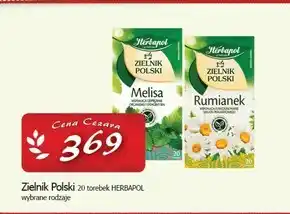 Cezar Delikatesy Herbapol Zielnik Polski Herbatka ziołowa rumianek 30 g (20 x 1,5 g) oferta