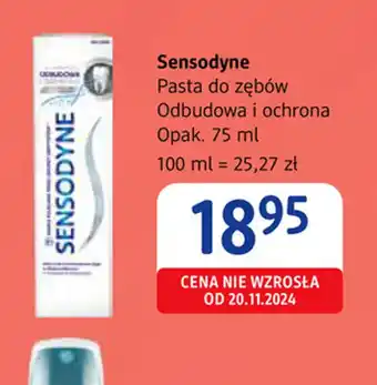 dm drogerie markt Pasta do zębów Sensodyne oferta