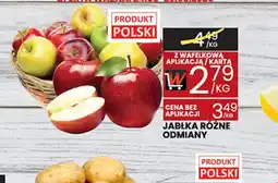 Wafelek Jabłka różne odmiany oferta