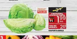 Wafelek Kapusta biała oferta