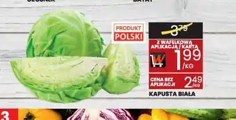 Wafelek Kapusta biała oferta