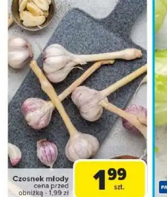 Carrefour Czosnek młody oferta