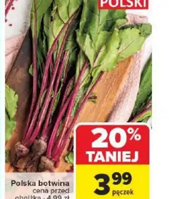 Carrefour Polska botwina oferta