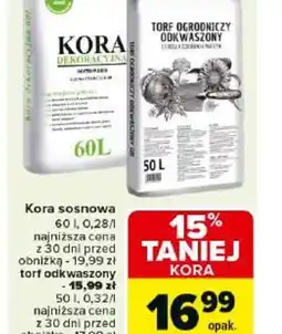 Carrefour Kora sosnowa oferta