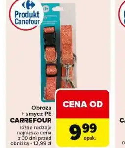 Carrefour Obroża + smycz PE Carrefour oferta