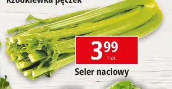 E.Leclerc Seler naciowy oferta