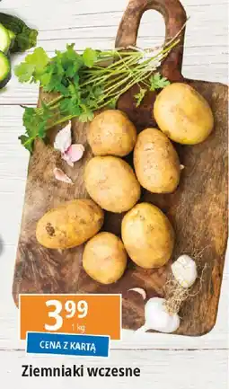 E.Leclerc Ziemniaki wczesne oferta