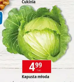 E.Leclerc Kapusta młoda oferta