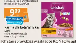 E.Leclerc Karma dla kota kurczak Whiskas Junior oferta