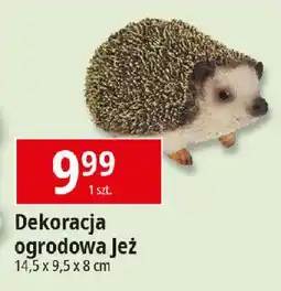 E.Leclerc Dekoracja ogrodowa jeż oferta