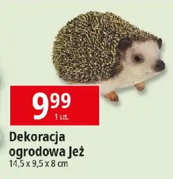 E.Leclerc Dekoracja ogrodowa jeż oferta