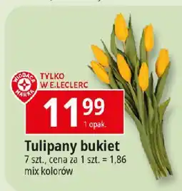 E.Leclerc Tulipany Wiodąca Marka oferta