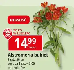 E.Leclerc Alstromeria Wiodąca Marka oferta