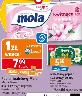 E.Leclerc Papier toaletowy bawełniana biel Mola oferta