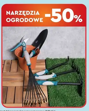 Biedronka Motyczka ogrodowa oferta