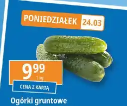 E.Leclerc Ogórek gruntowy oferta