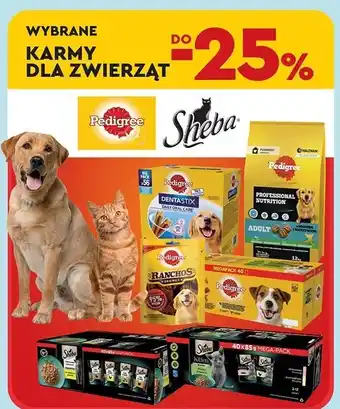 Biedronka Karma dla psa z drobiem i warzywami Pedigree oferta