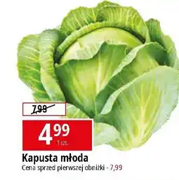 E.Leclerc Kapusta młoda oferta