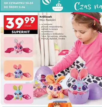 Biedronka Króliczek moc radości oferta