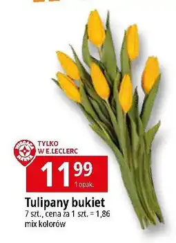 E.Leclerc Tulipany Wiodąca Marka oferta