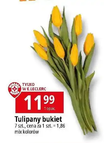 E.Leclerc Tulipany Wiodąca Marka oferta