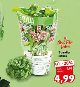 Kaufland Bazylia K-Stąd Takie Dobre oferta