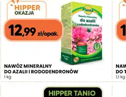 Hipper.pl Nawóz mineralny do azalii i rododendronów oferta