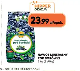 Hipper.pl Nawóz mineralny pod borówki oferta