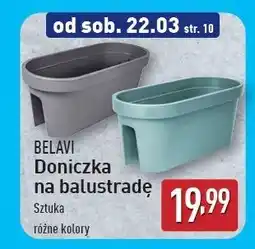 ALDI Doniczka na balustradę Belavi oferta