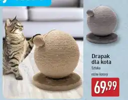 ALDI Drapak dla kota oferta