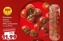 Kaufland Pomidory cherry na gałązce oferta