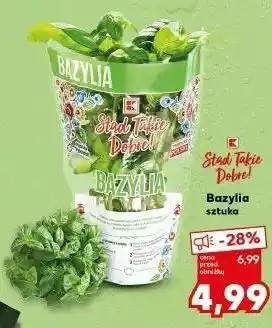 Kaufland Bazylia K-Classic Stąd Takie Dobre! oferta