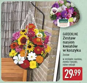 ALDI Zestaw nasion kwiatów w koszu Gardenline oferta