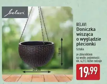 ALDI Doniczka wisząca 26 x 16 cm Belavi oferta