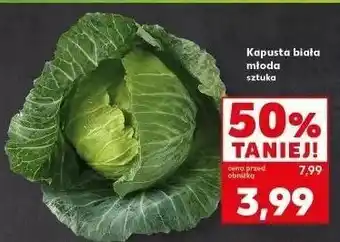 Kaufland Kapusta biała młoda oferta