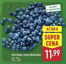 ALDI Borówka amerykańska oferta