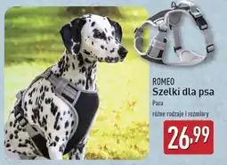 ALDI Szelki dla psa Romeo oferta