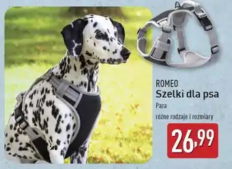 ALDI Szelki dla psa Romeo oferta