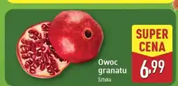 ALDI Granat oferta