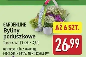 ALDI Byliny poduszkowe Gardenline oferta