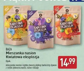 ALDI Kwiatowa eksplozja oferta