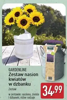 ALDI Zestaw nasion kwiatów w dzbanku Gardenline oferta