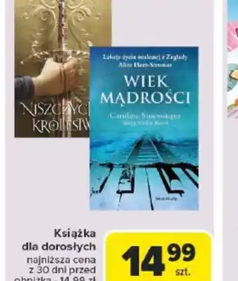 Carrefour Książka dla dorosłych oferta