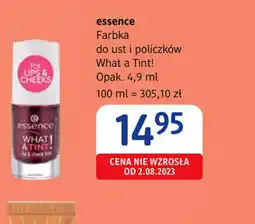 dm drogerie markt Farbka do ust i policzków Essence What a Tint! oferta