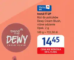 dm drogerie markt Róż do policzków trend IT UP Dewy Cream Blush oferta